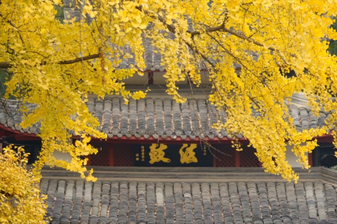 1 Day Chengdu Culture & History Tour