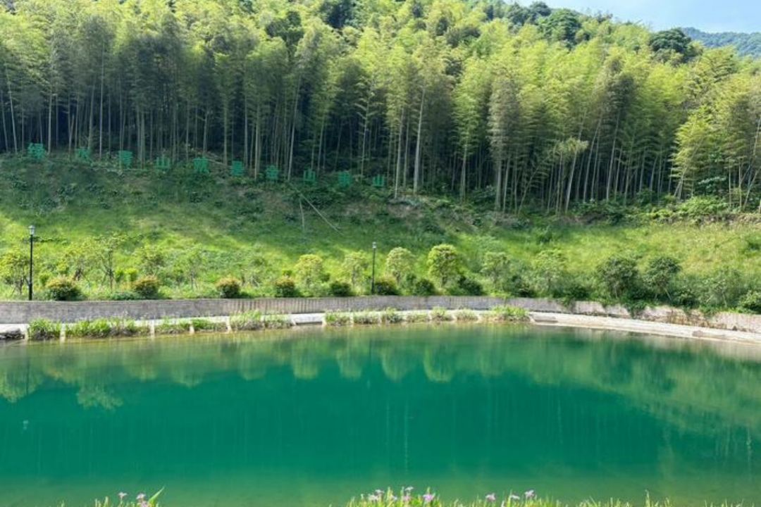 Hangzhou Xishan National Forest Park