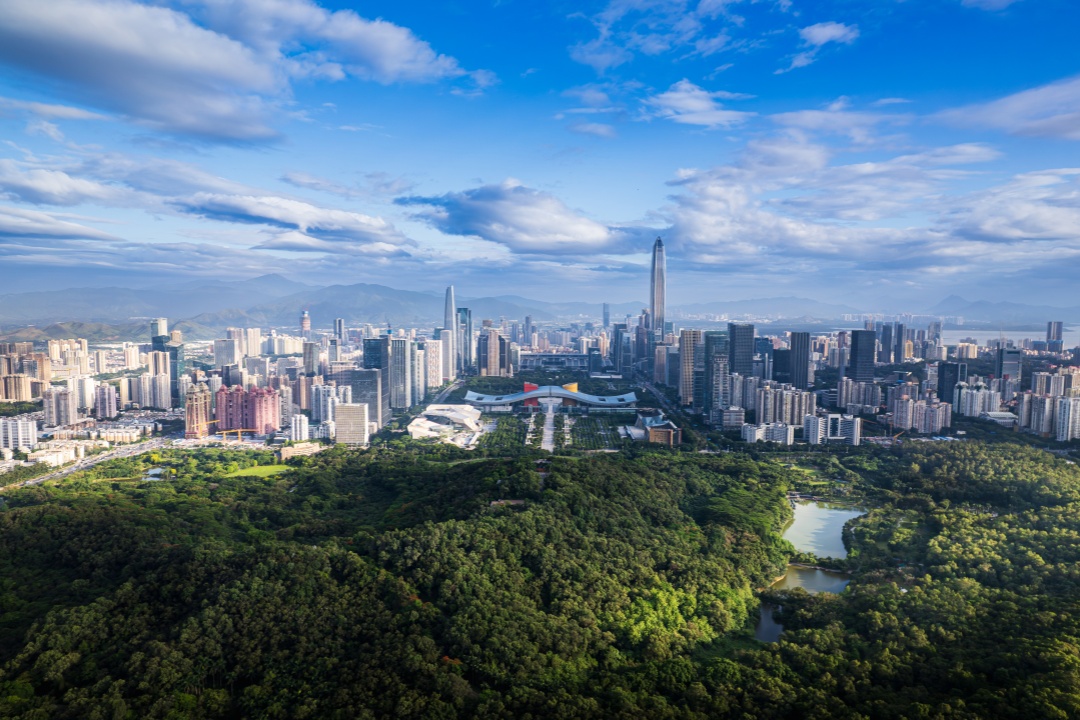 Shenzhen 1-Day Culture & Tech Tour: Lotus Hill, Dafen Village, Hakka Town & Huaqiangbei